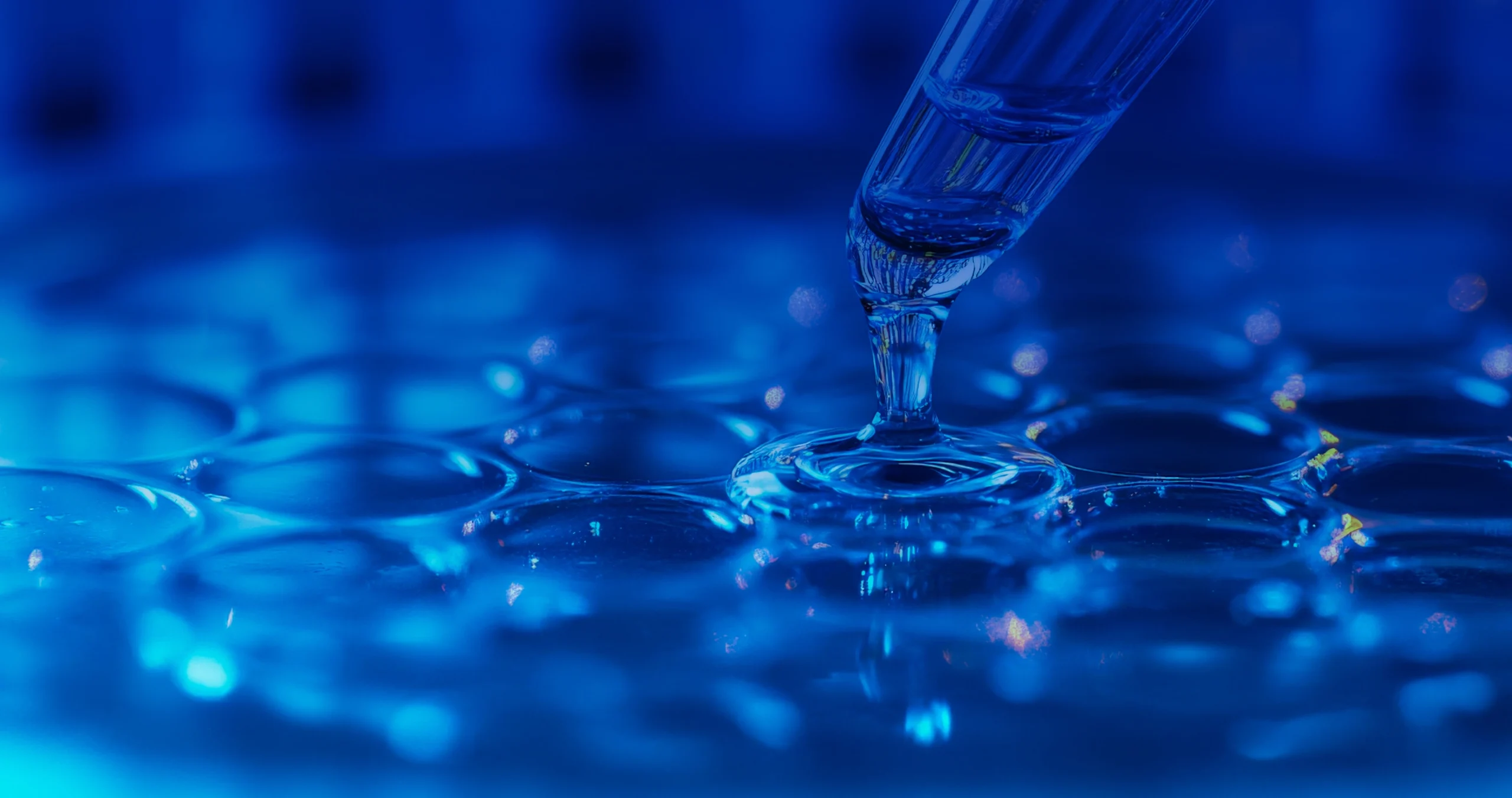 expertise banner scaled 1